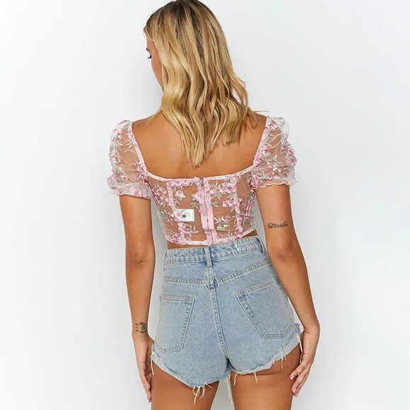 Pink Mesh Floral Embroidery Crop Top - Picture 2 of 3